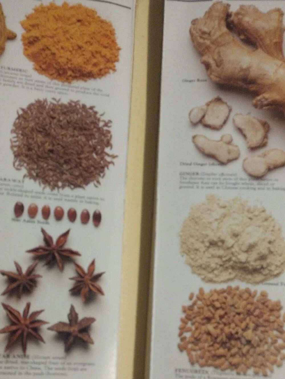 Cooks' Ingredients Cookbook - White Cover